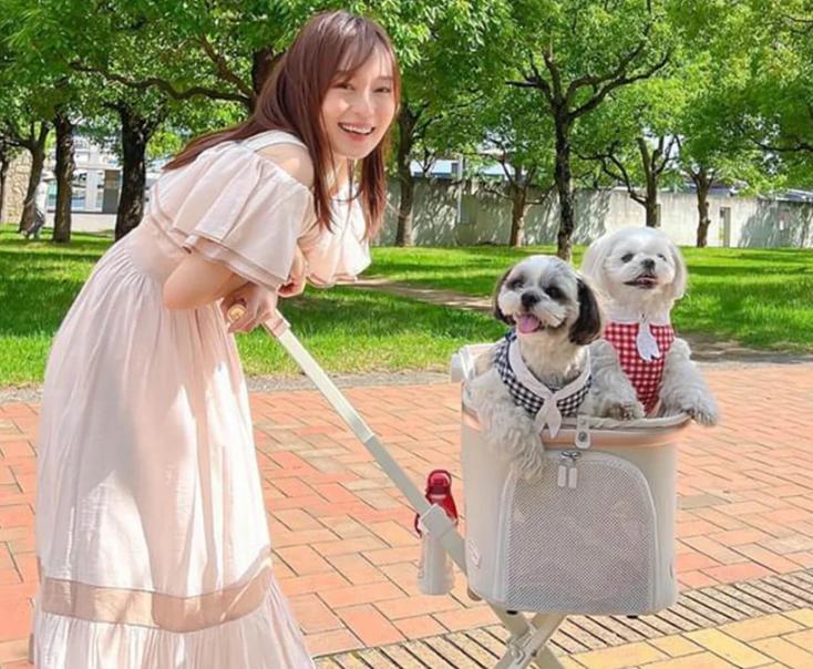 ペットカート