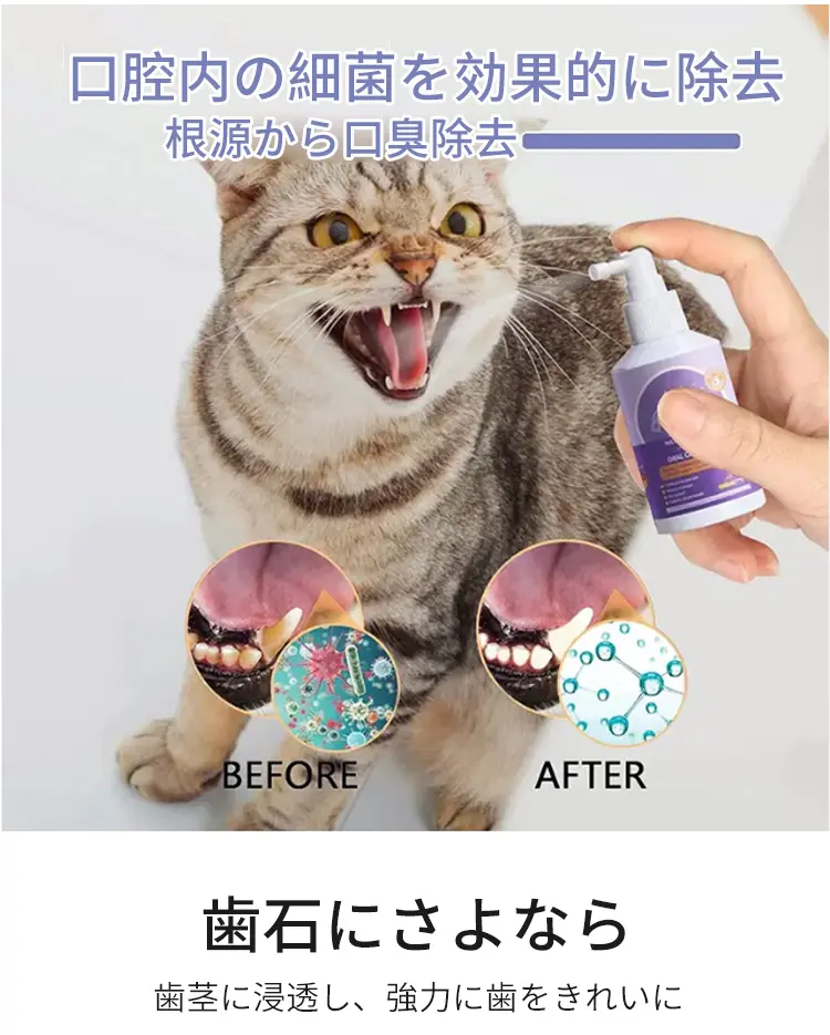 ペット用オーラルケア