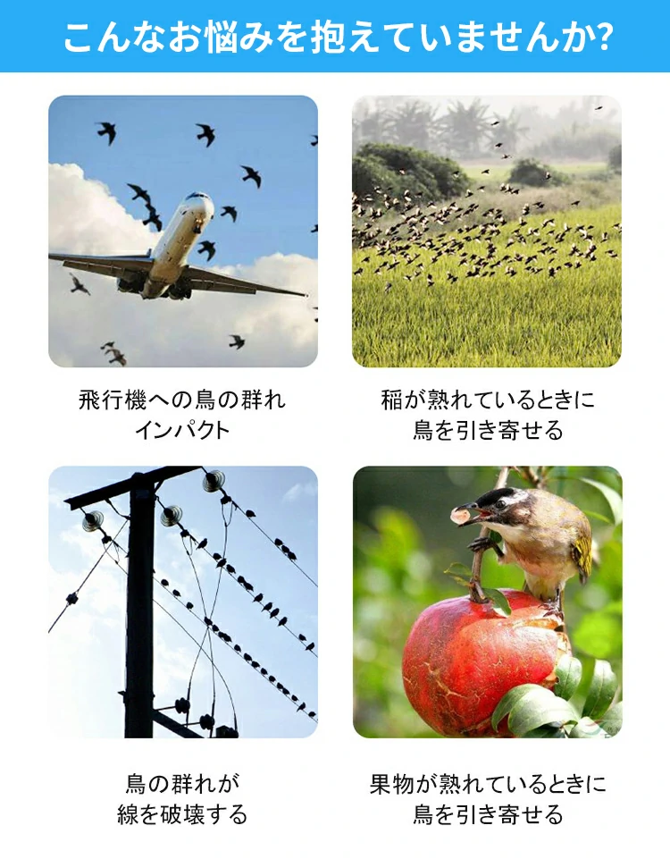 装飾品