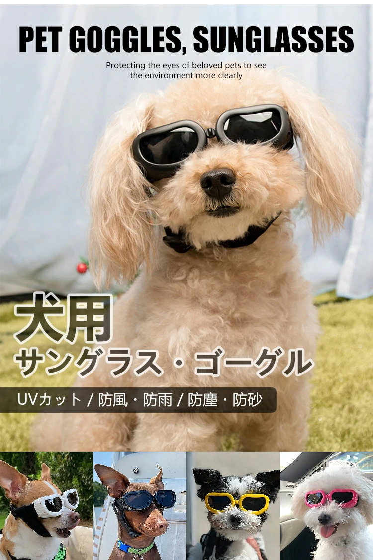 サングラス