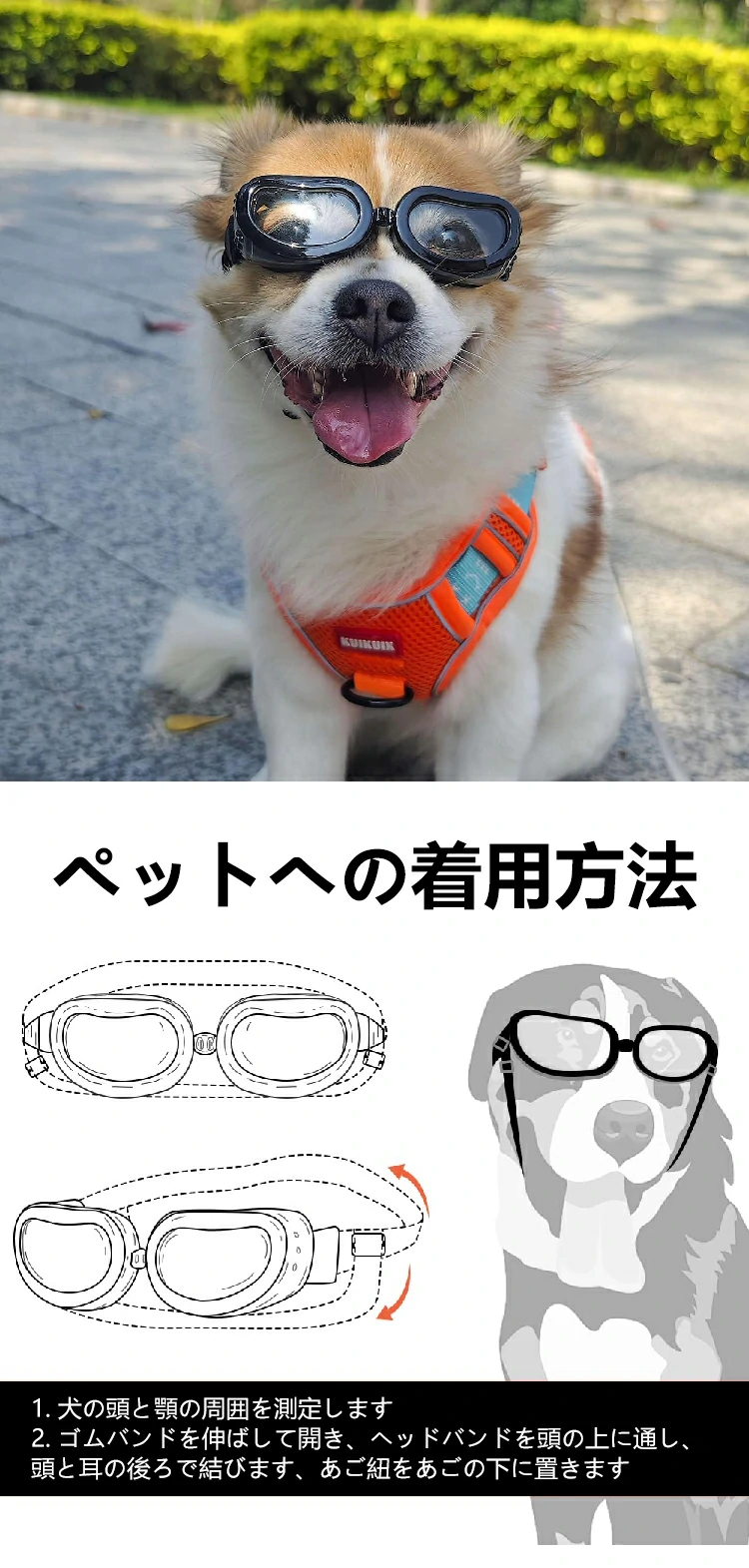 サングラス