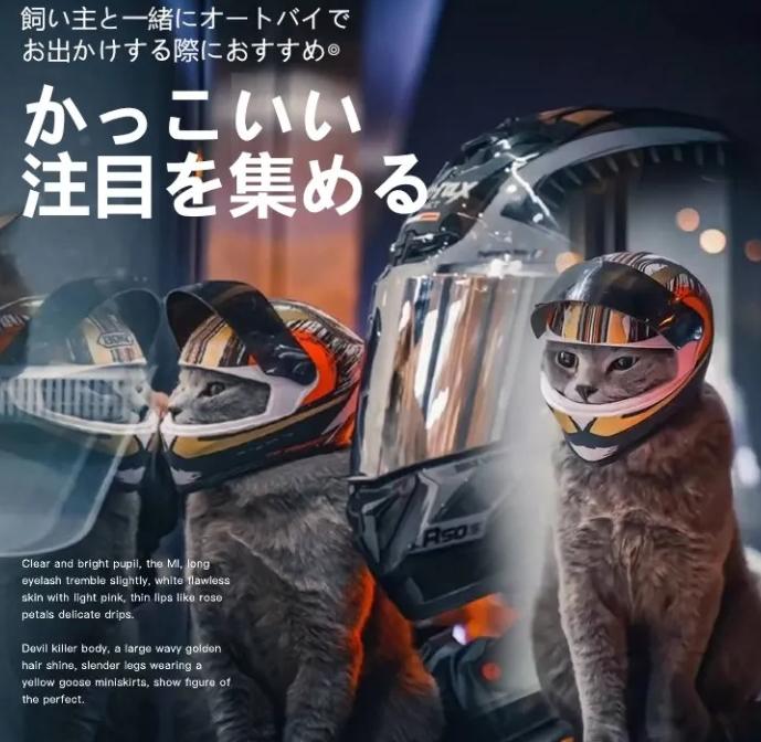 ヘルメット