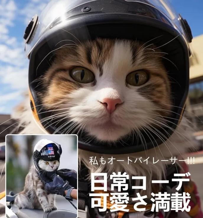 ヘルメット