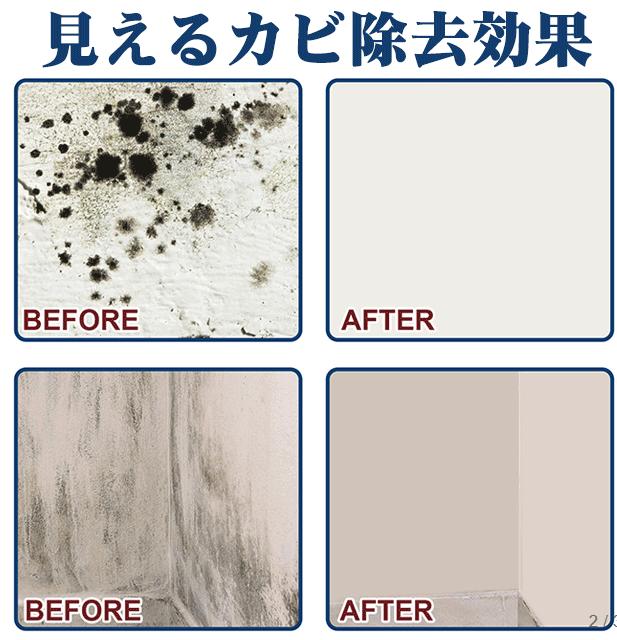かび除去スプレー