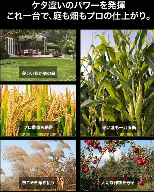 草刈り