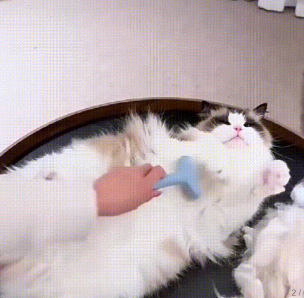 うすうち