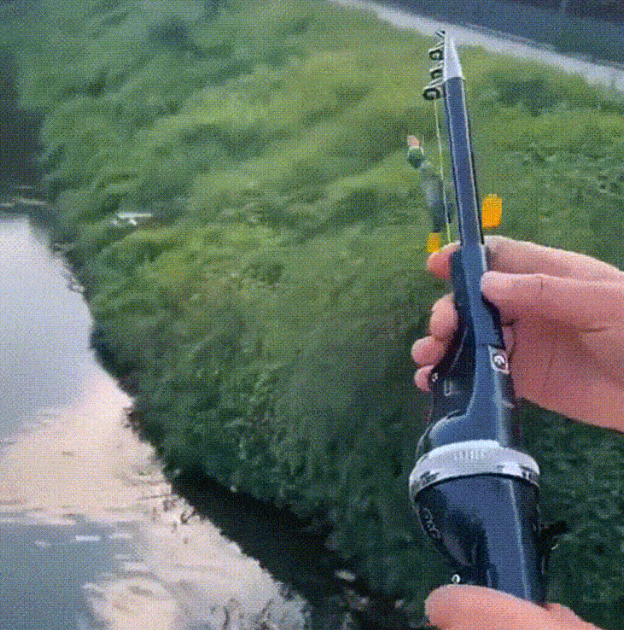 釣り竿