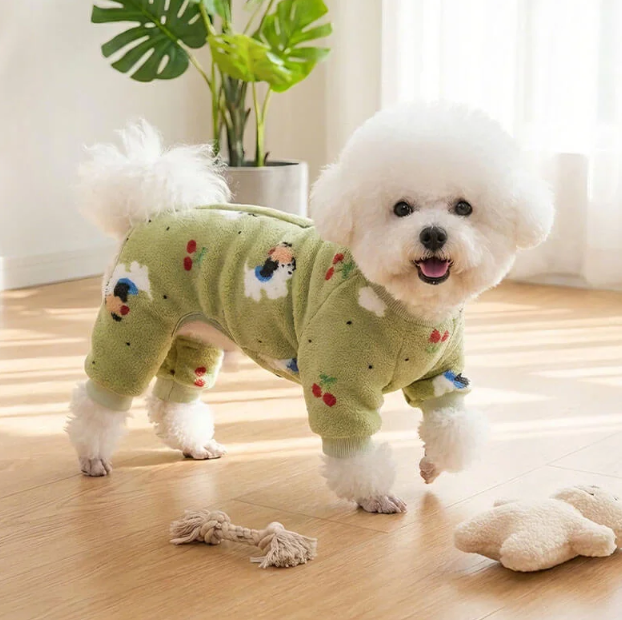 小型犬服