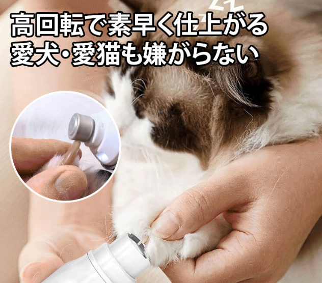 ネイルファイル