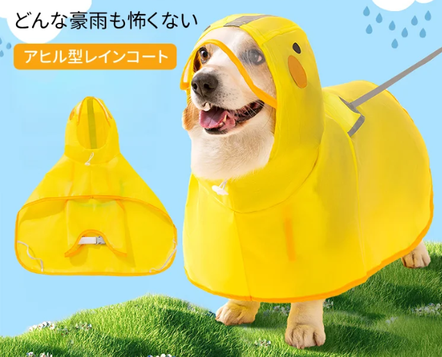 レインコート