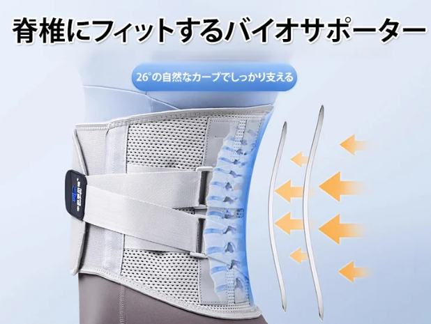 ベルト本
