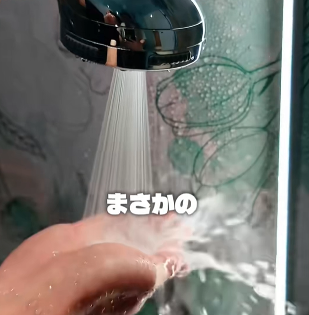 シャワーーヘッド
