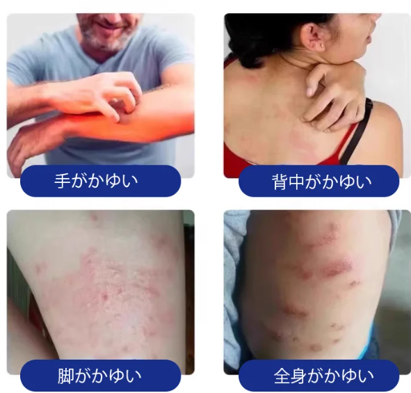 えきたいふりかけ