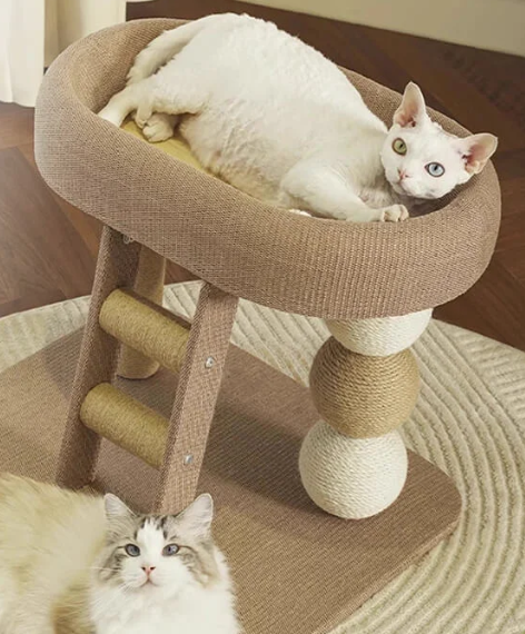 ジャンプ台によじ登る