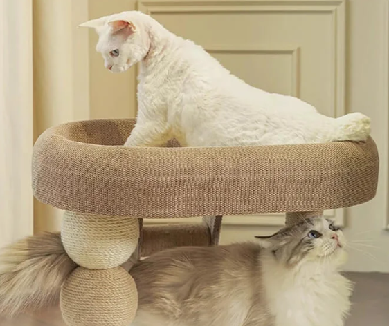 ジャンプ台によじ登る