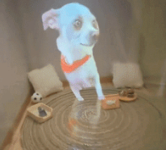 投影デジタルハウス