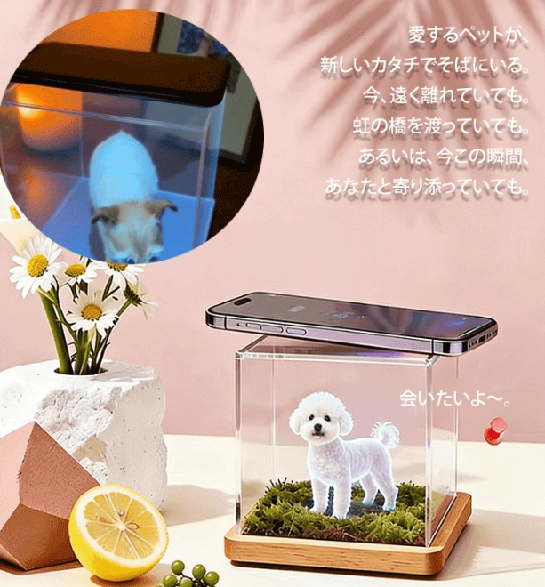 投影デジタルハウス