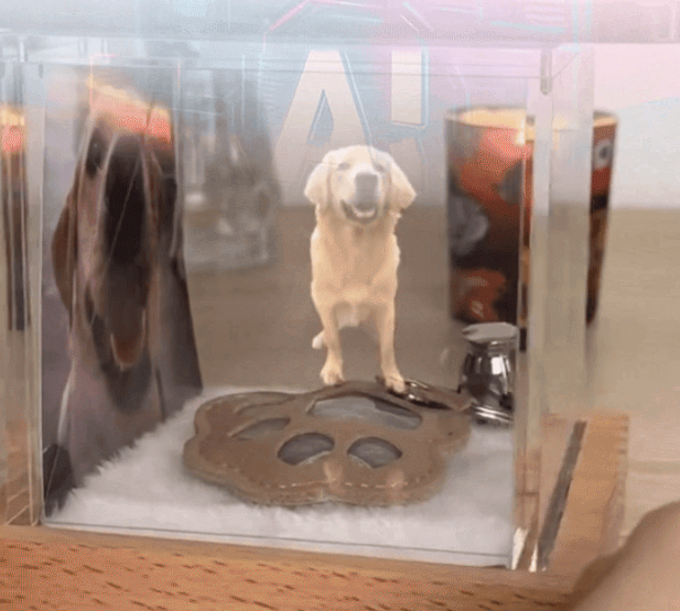 投影デジタルハウス