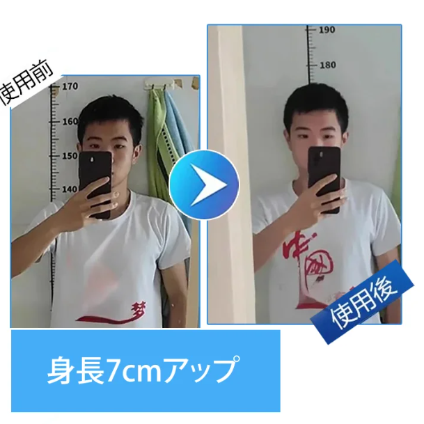 成長身長シート