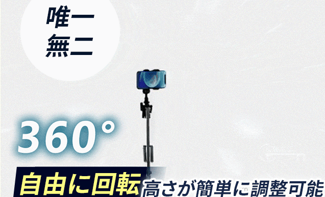 ステント