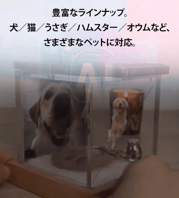 デジタルハウス