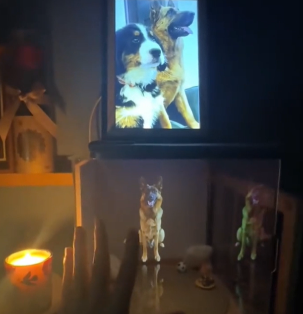 デジタルハウス