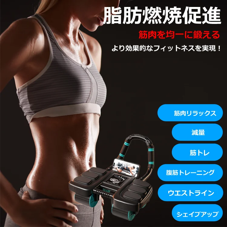 腹部ホイール