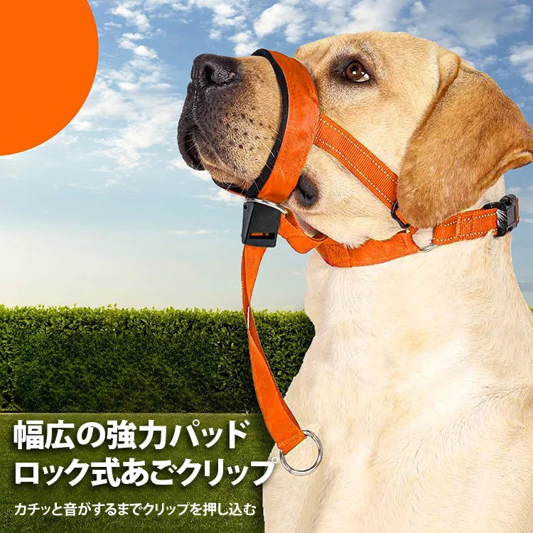 ペットリード