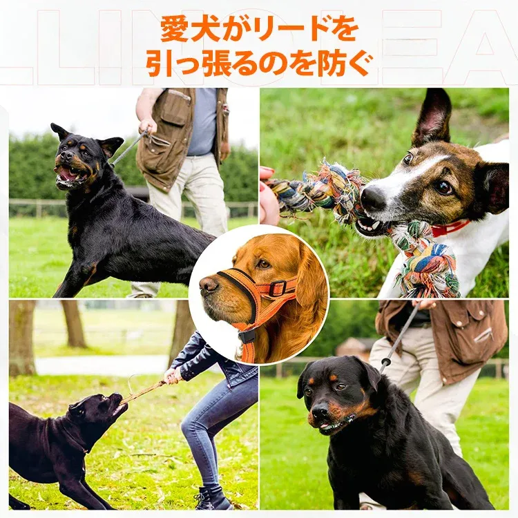 ペットリード