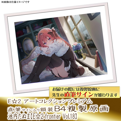 ⭐预售⭐｜E☆2 B4复制原画 24位画师阵容  【26/8/31截单，2026年11月～发售】