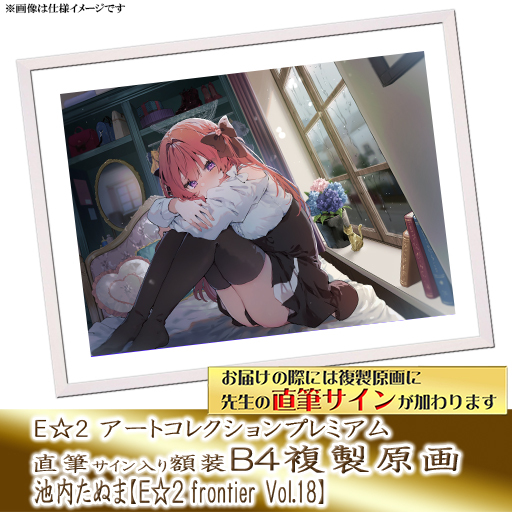 ⭐预售⭐｜E☆2 B4复制原画 24位画师阵容  【26/8/31截单，2026年11月～发售】