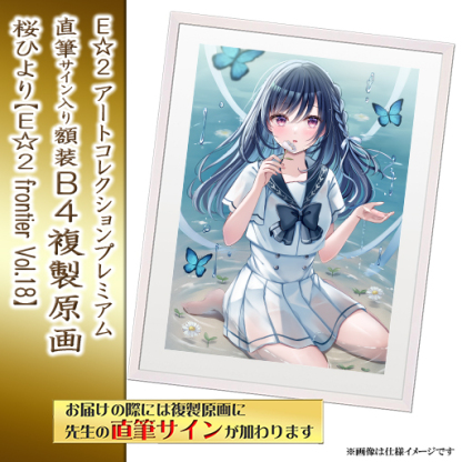 ⭐预售⭐｜E☆2 B4复制原画 24位画师阵容  【26/8/31截单，2026年11月～发售】