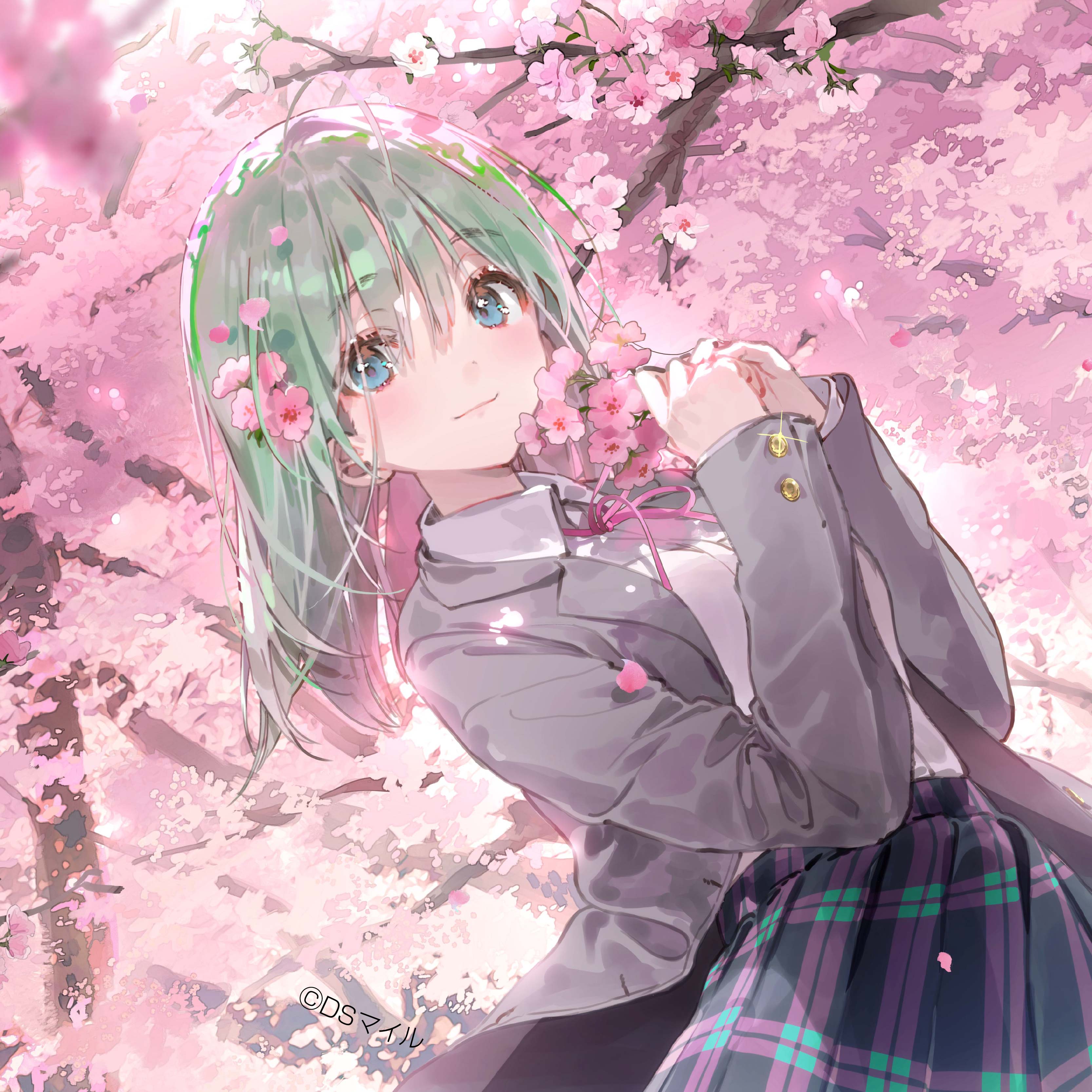 DSマイル