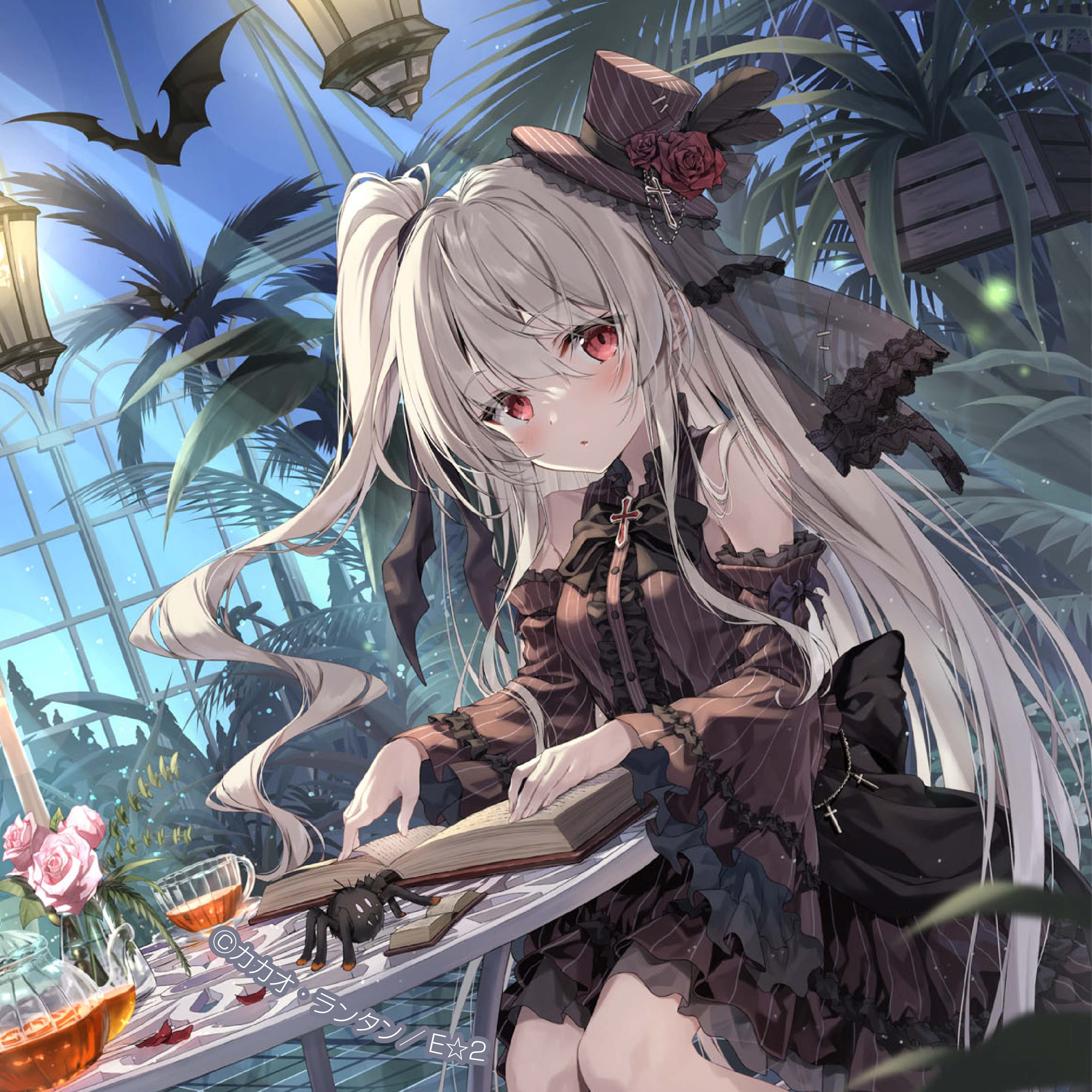 カカオ・ランタン