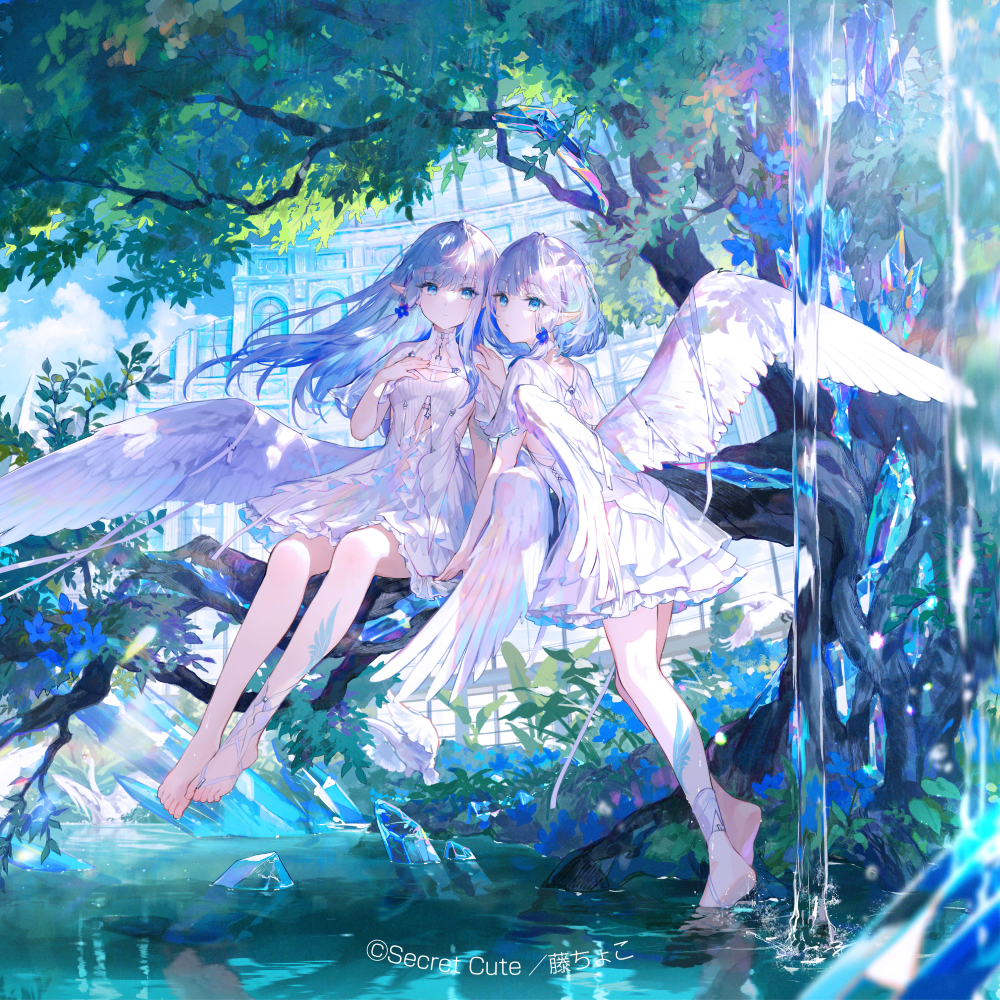 藤ちょこ