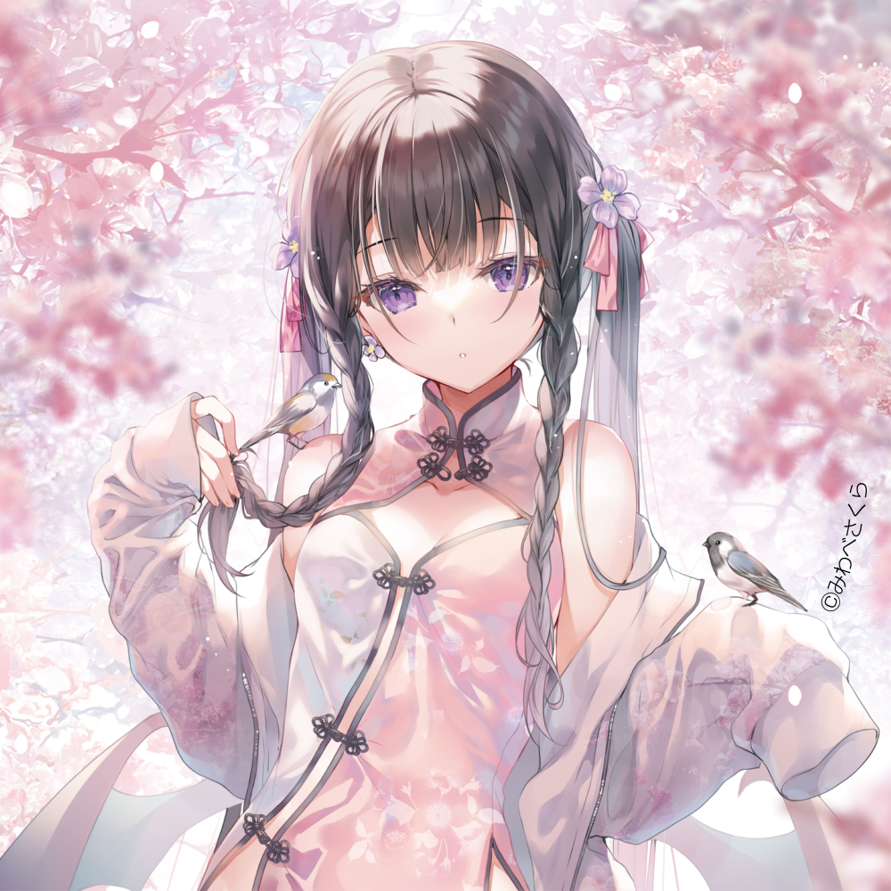 みわべさくら