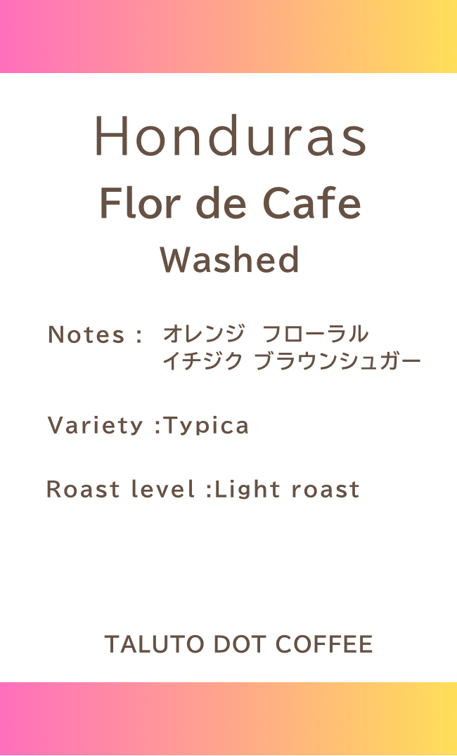 【ドリップバッグ】HONDURAS Flor de Cafe Washed / 浅煎り