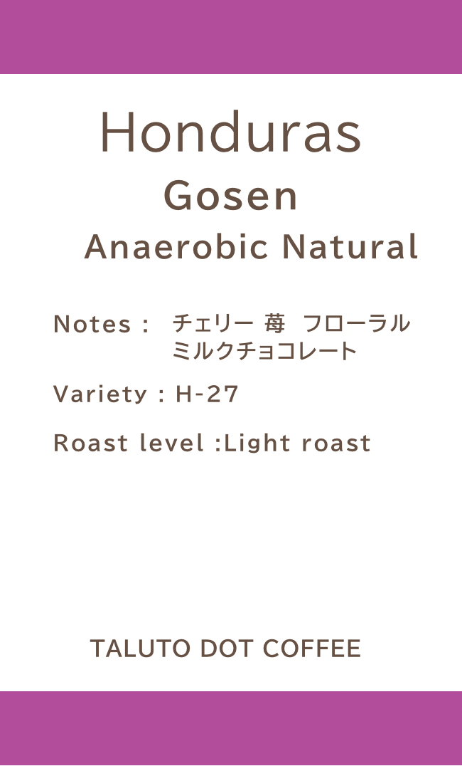 【ドリップバッグ】HONDURAS Gosen Anaerobic Natural / 浅煎り
