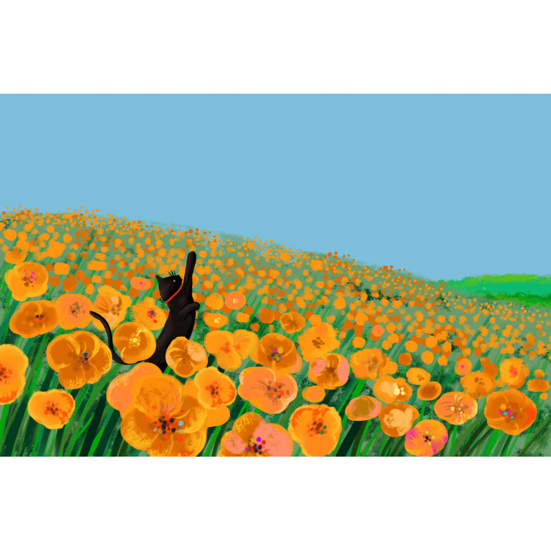 問候留言卡 image number 0