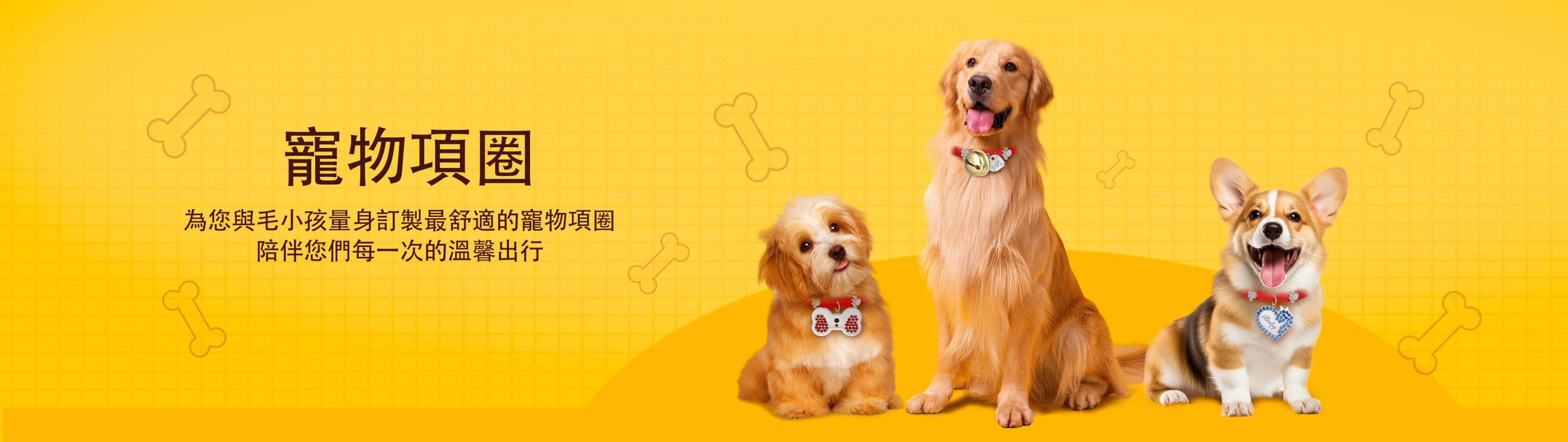 Pet Collar