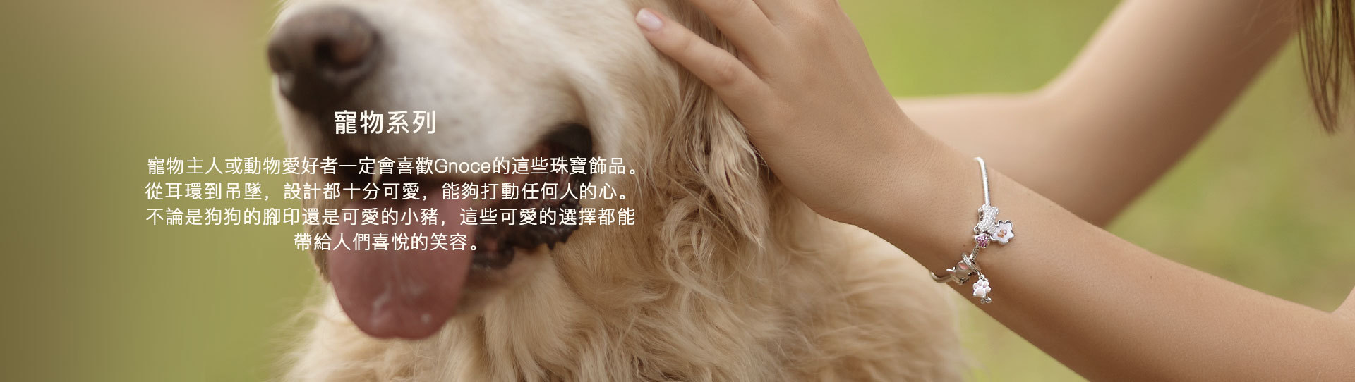Tenderness for Pets Collection