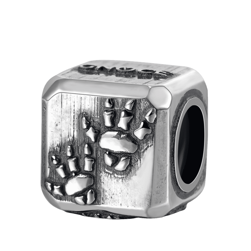 三角龍與客製化樂音手鐲 image number 2