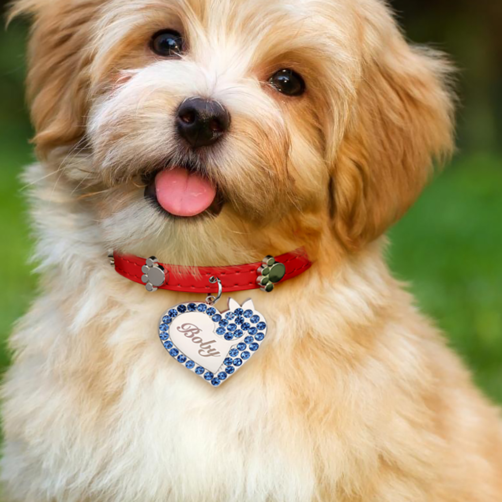 心形寵物防丟標籤項圈 image number 4