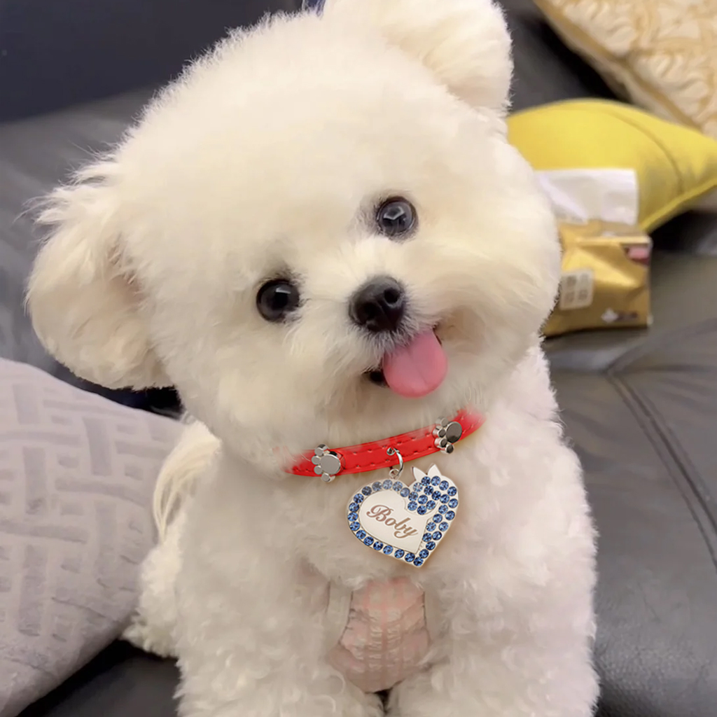 心形寵物防丟標籤項圈 image number 5