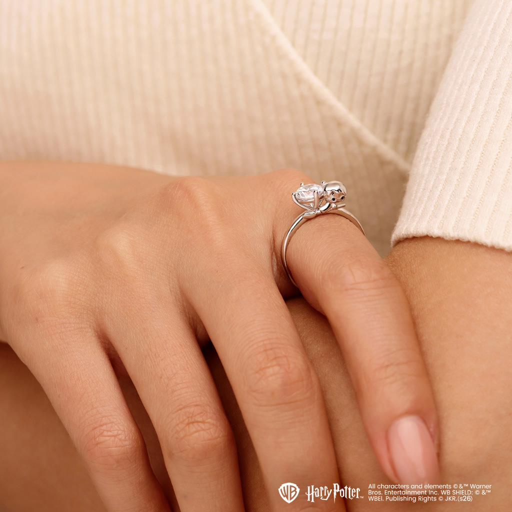 哈利·波特擁抱戒指 image number 1