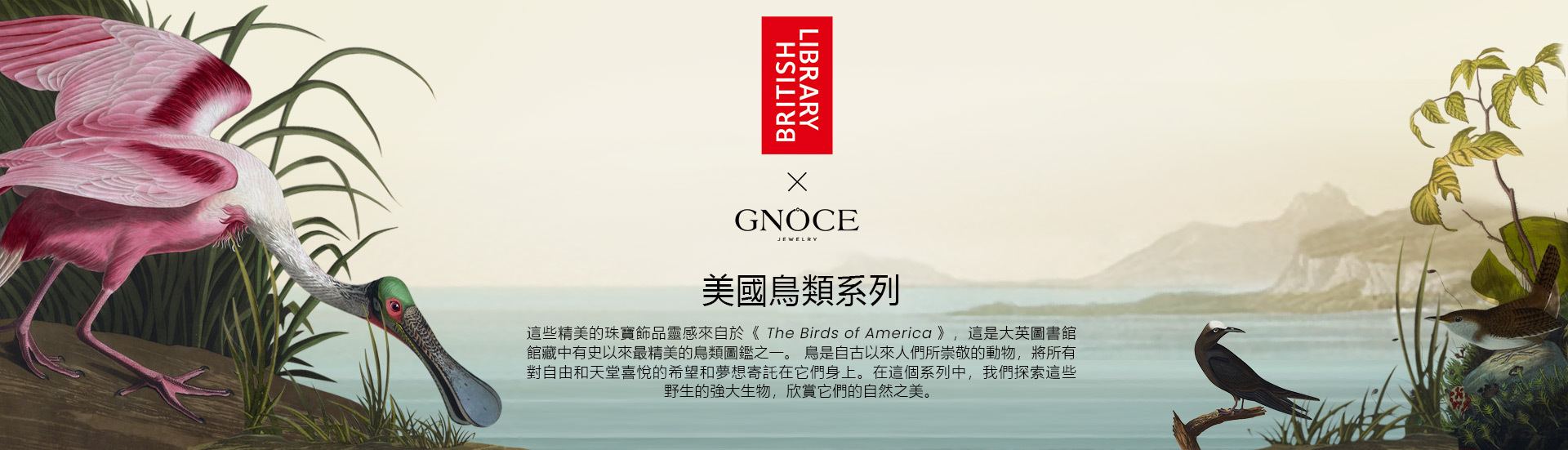 The Birds of America