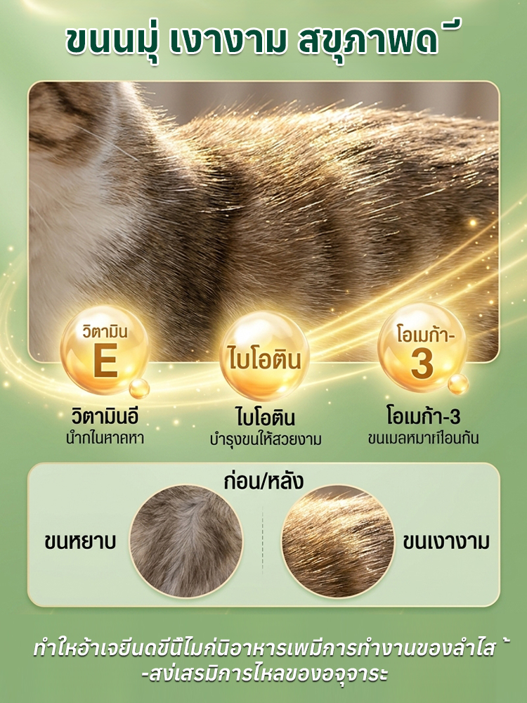 🐾 ผลิตภัณฑ์กำจัดก้อนขนแบบธรรมชาติ อ่อนโยนต่อกระเพาะอาหาร | เม็ดกำจัดก้อนขนจากหญ้าแมว ช่วยกำจัดก้อนขนอย่างอ่อนโยน ทำให้กระเพาะอาหารของแมวรู้สึกสบาย 🌿