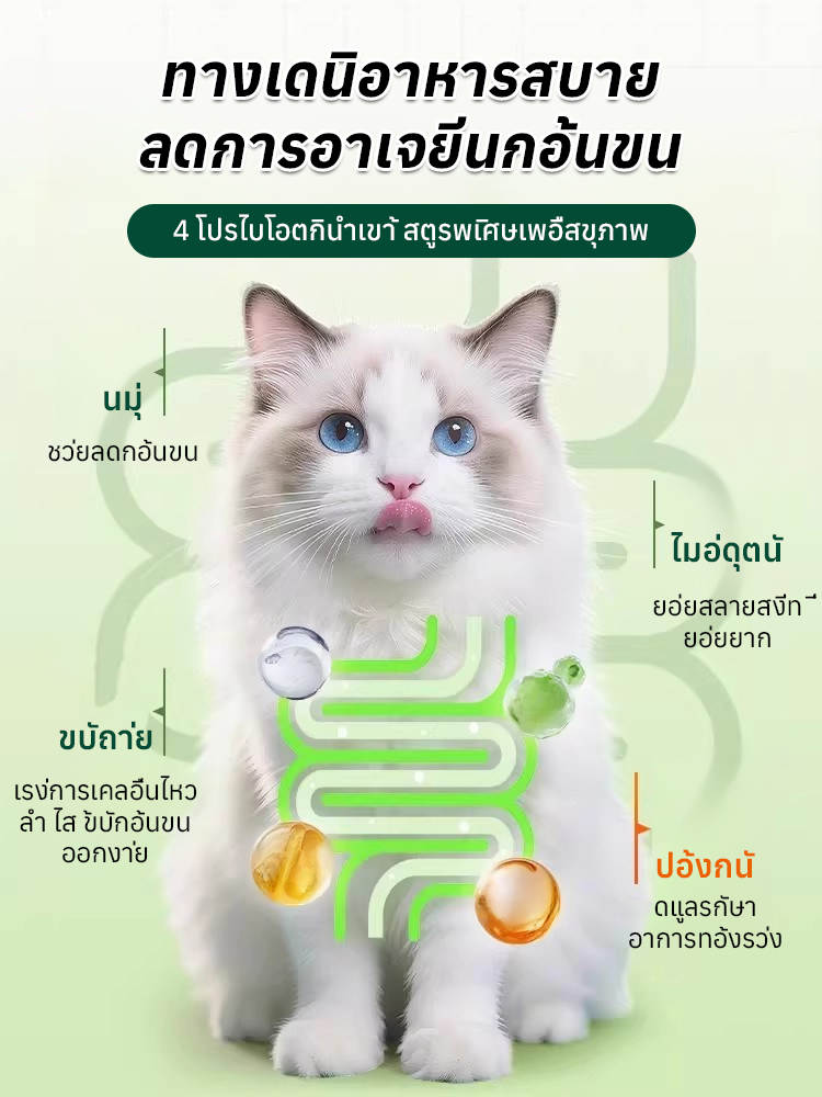 🐾 ผลิตภัณฑ์กำจัดก้อนขนแบบธรรมชาติ อ่อนโยนต่อกระเพาะอาหาร | เม็ดกำจัดก้อนขนจากหญ้าแมว ช่วยกำจัดก้อนขนอย่างอ่อนโยน ทำให้กระเพาะอาหารของแมวรู้สึกสบาย 🌿
