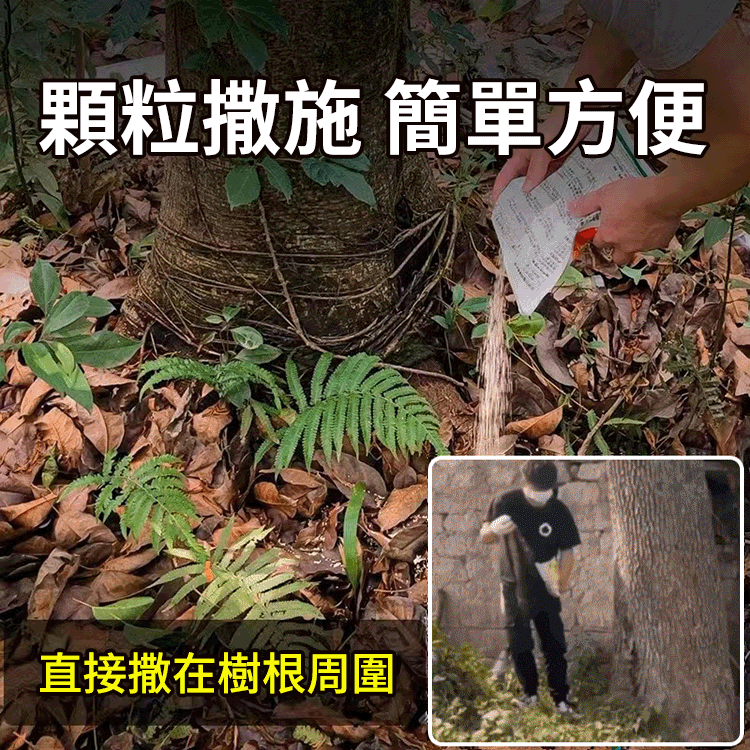 爛樹根劑强力除草劑