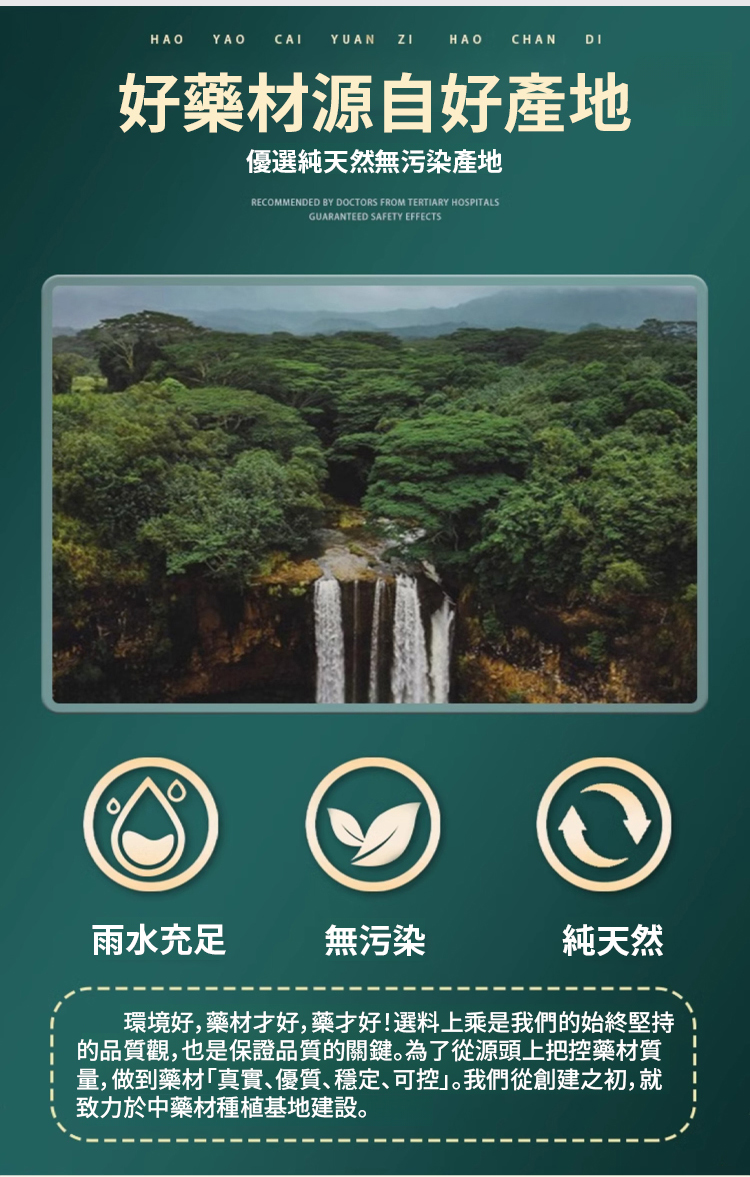 槐花馬齒莧甘草片